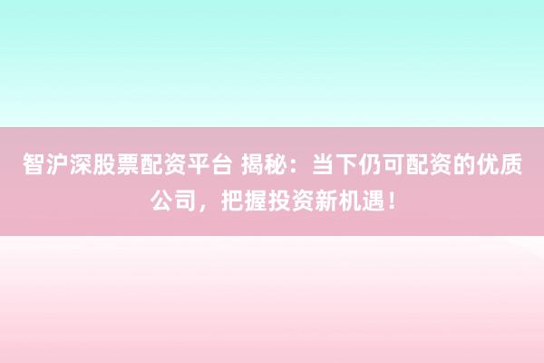 智沪深股票配资平台 揭秘：当下仍可配资的优质公司，把握投资新机遇！