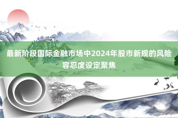 最新阶段国际金融市场中2024年股市新规的风险容忍度设定聚焦
