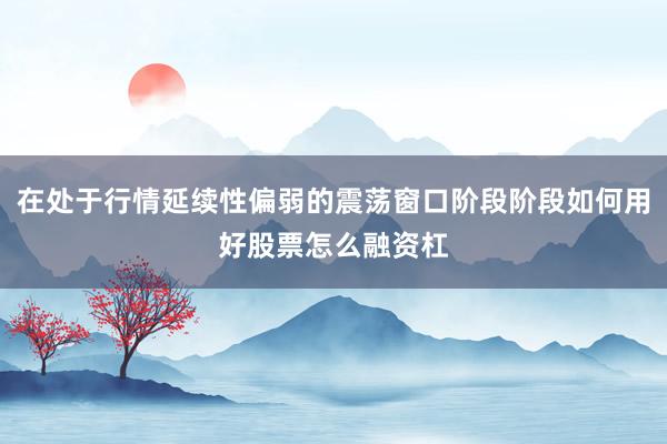 在处于行情延续性偏弱的震荡窗口阶段阶段如何用好股票怎么融资杠